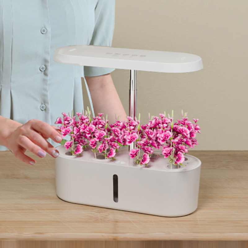 Slimme Hydroponische Groentekw - Smart Home In Us recensie en prijs