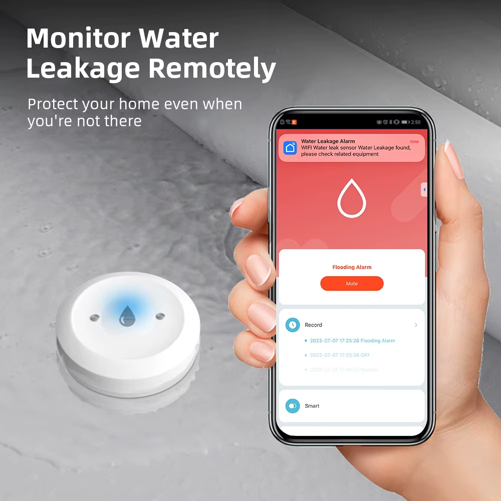 Slimme Zigbee waterleksensor,  - Smart Home Green recensie en prijs
