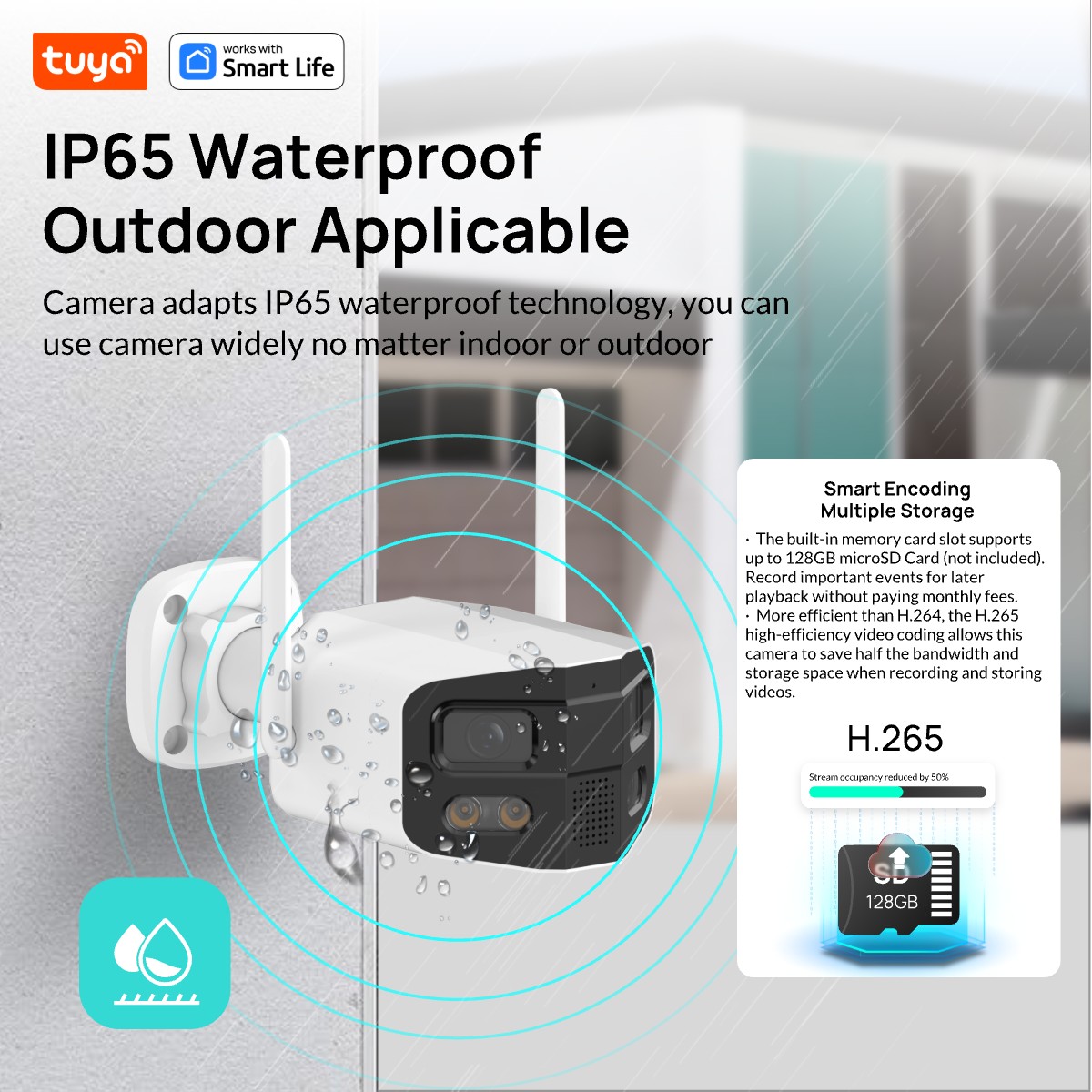 Tuya Smart 4MP 2,5K dubbele le - Smart Home Camera Ezviz recensie en prijs