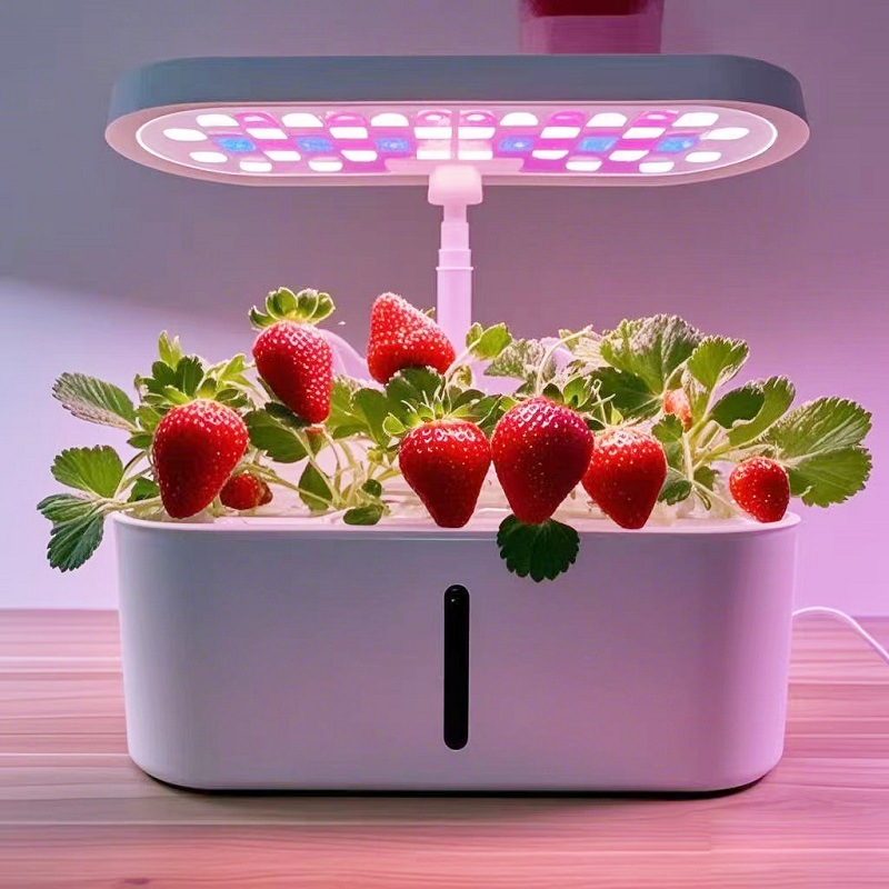Slimme Hydroponische Groentekw - Smart Home In Us recensie en prijs