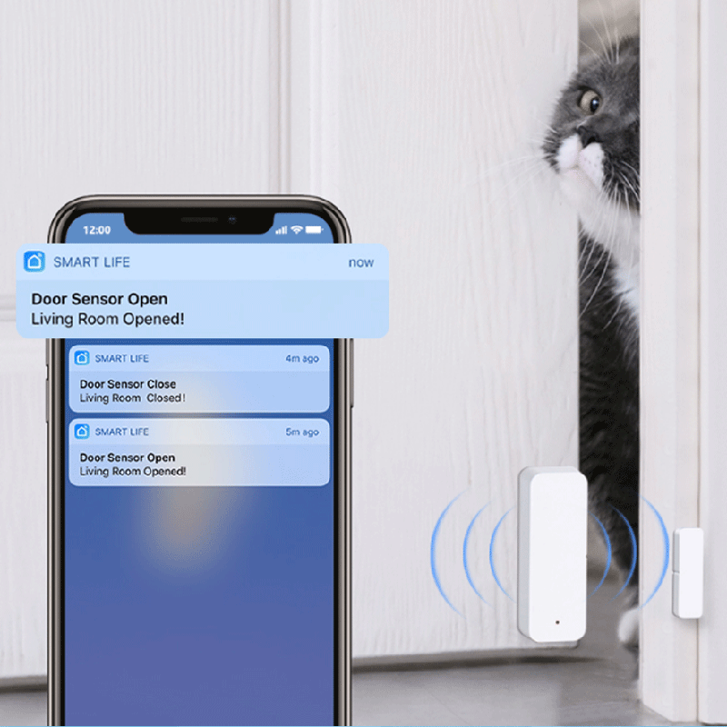 Tuya WiFi Zigbee Deur- en raam - Smart Home Remote recensie en prijs