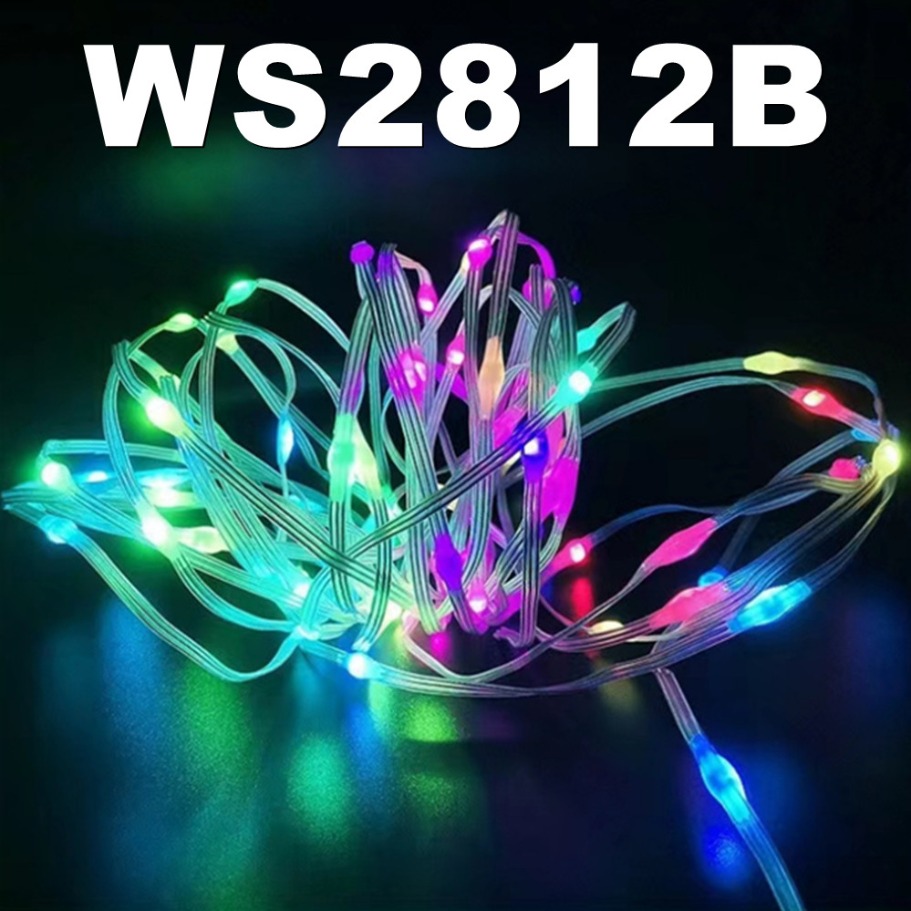 WS2812B LED Light String Smart - Smart Home Decor recensie en prijs
