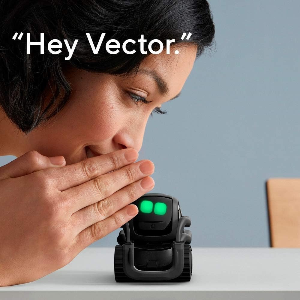 AI ChatGPT 2.0 Verbonden Robot - Smart Home Remote recensie en prijs