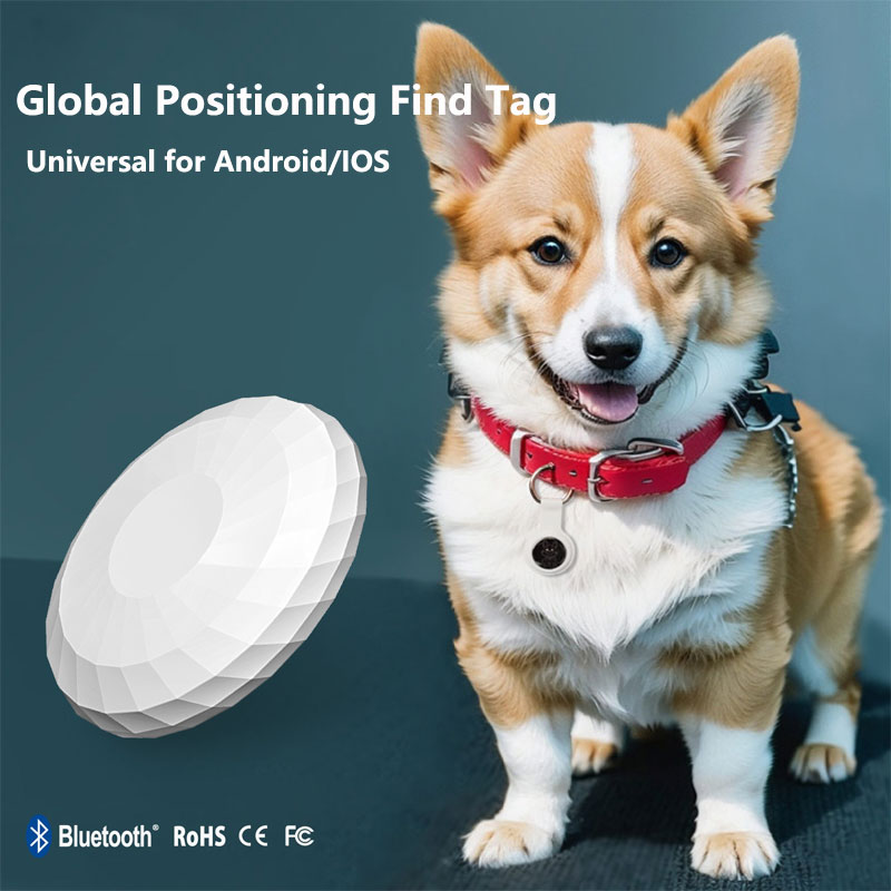 Smart Tag Echt wereldwijde pos - Smart Home Apple recensie en prijs