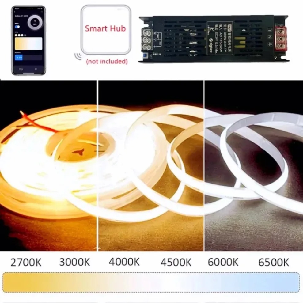 DC24V Tuya Zigbee LED-voedings - Smart Power Strip recensie en prijs