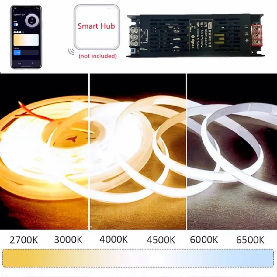 DC24V Tuya Zigbee LED-voedings - Smart Power Strip recensie en prijs